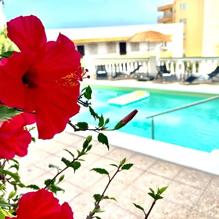 빌라 Con Jardin Y Piscina Privada Zona Burriana