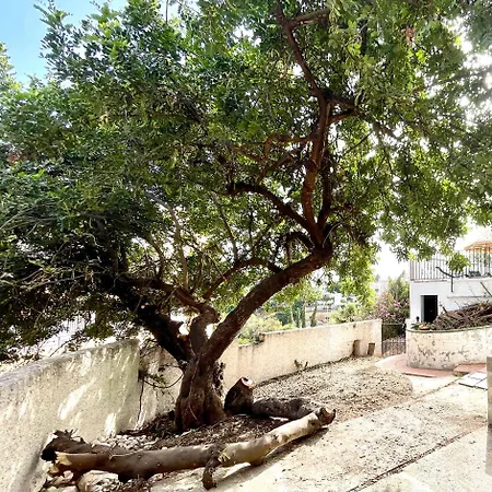 Con Jardin Y Piscina Privada Zona Burriana 빌라 *